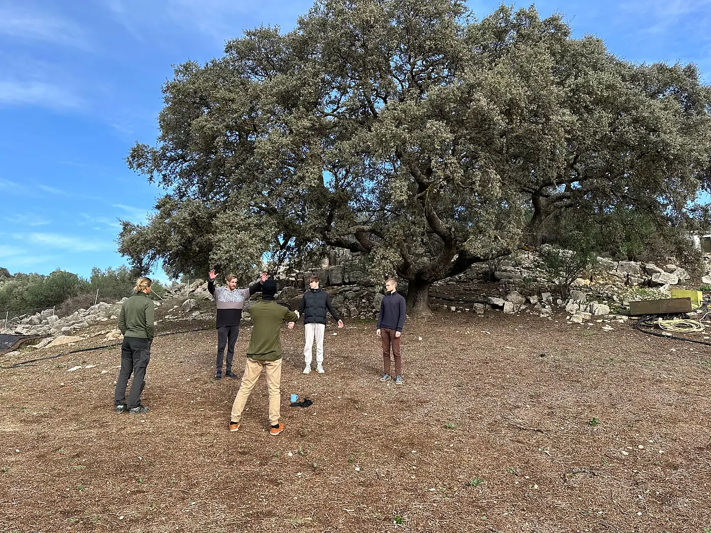 A circle of men moving together under an ancient oak